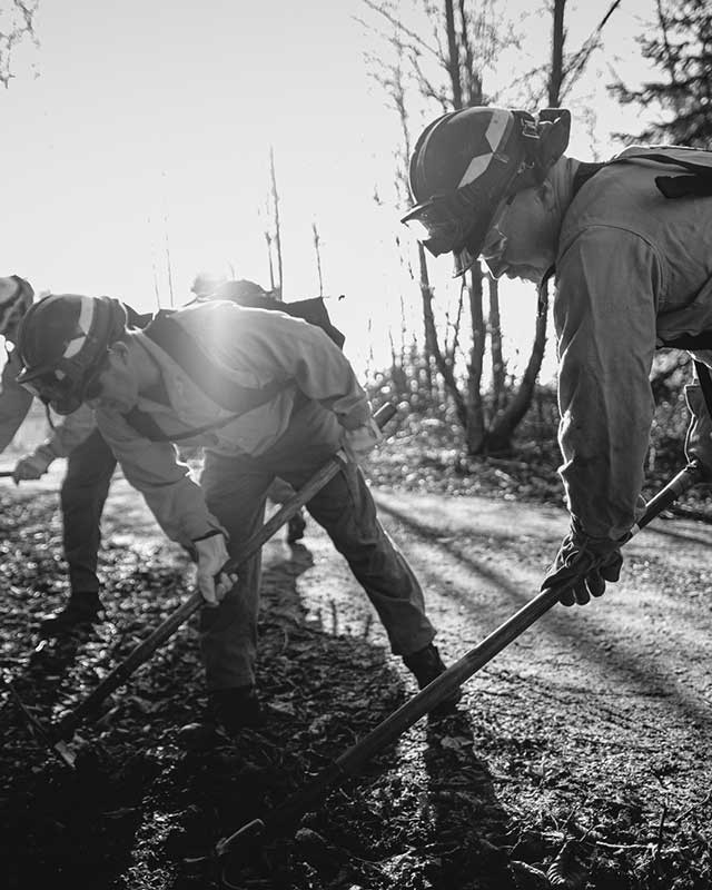 Team digging through roots