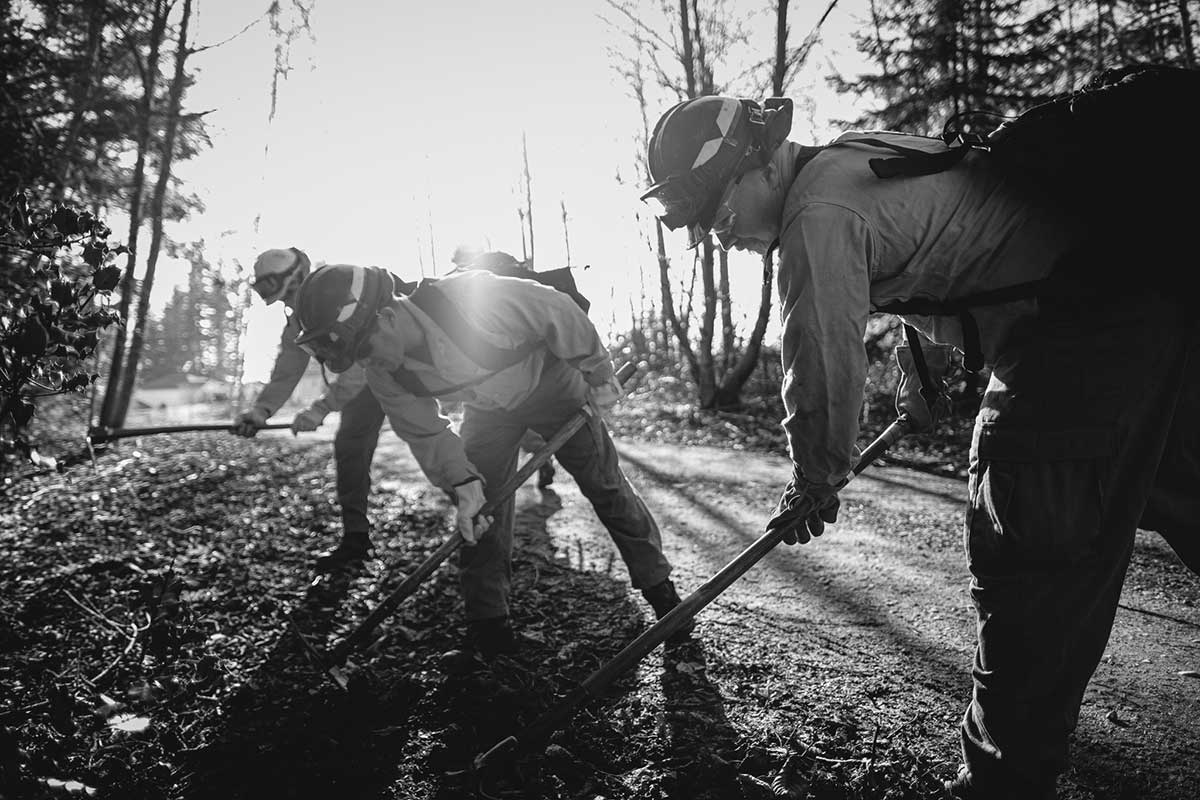 Team digging through roots