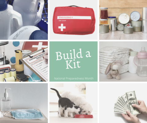 Build a rescue kit.