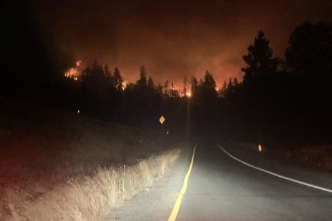 A firefighter battles a blazing fire on the side of a road at night, working tirelessly to rescue those in need.