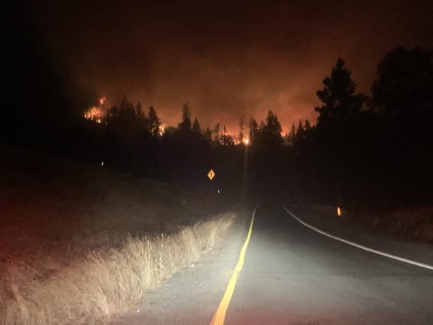 A firefighter battles a blazing fire on the side of a road at night, working tirelessly to rescue those in need.