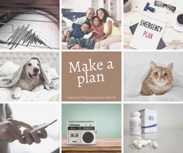 A collage of pictures with the words make a plan for rescue.