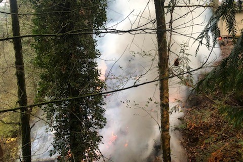 A firefighter providing rescue service for a fire in the woods with smoke coming out of it.