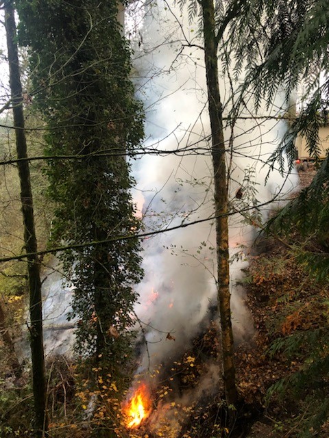 A firefighter providing rescue service for a fire in the woods with smoke coming out of it.
