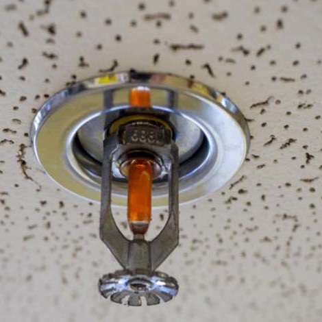 Fire Sprinkler on the ceiling