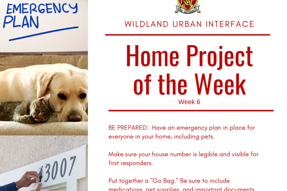 Home project of the week featuring Fire Department.