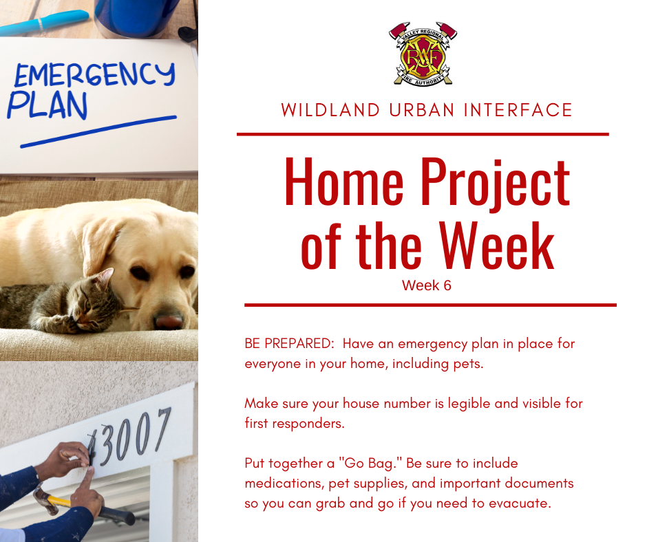 Home project of the week featuring Fire Department.