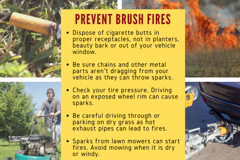 Valley Regional Fire Authority firefighter presents the Prevent brush fires poster