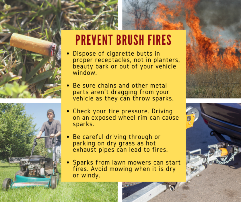 Valley Regional Fire Authority firefighter presents the Prevent brush fires poster