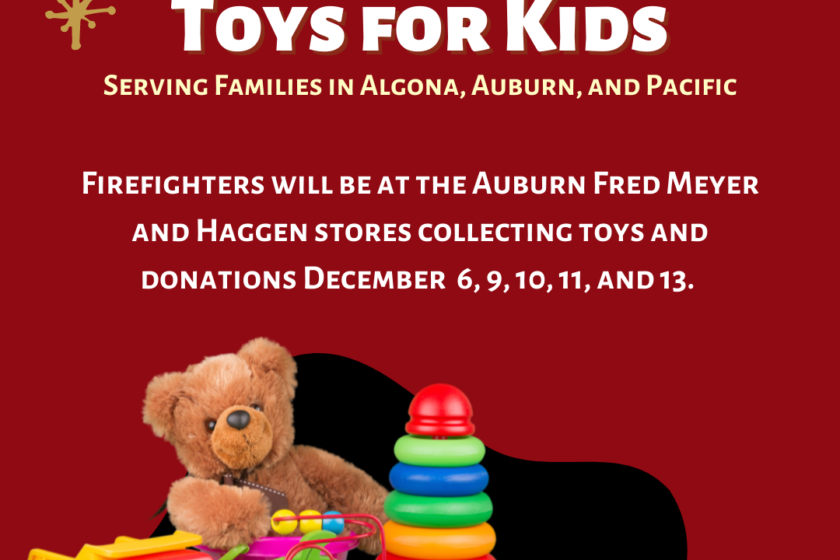 Valley Regional Fire Authority Rescue Toys for Kids Flyer.