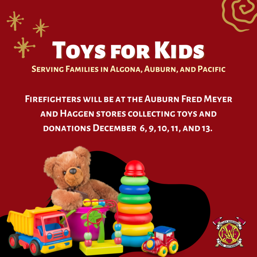 Valley Regional Fire Authority Rescue Toys for Kids Flyer.
