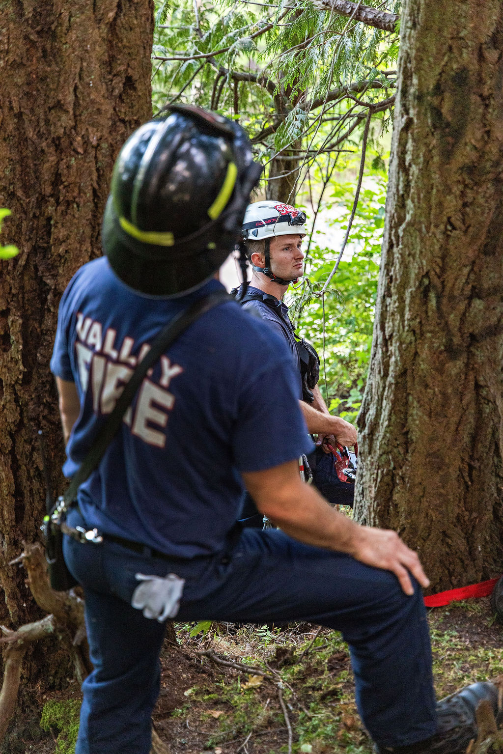 Two firefighters wearing helmets and uniforms stand among trees in a forested area, appearing to assess the scene.